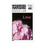 Pink Hydrangea Postage Stamps