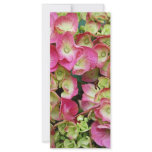 Pink Hydrangea Rack Cards