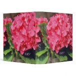 Pink Hydrangeas binders
