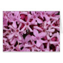 Pink Hydrangeas cards