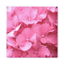 Pink Hydrangeas magnets by ggbythebay Pink Hydrangeas magnets