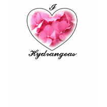 Pink Hydrangeas Tshirt by ggbythebay Pink Hydrangeas Tshirt