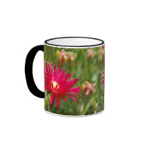 Pink Ice Plant Mug mugs