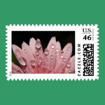 Pink Ice stamps