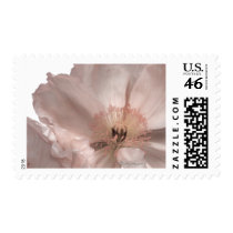 Pink Iceland Poppy Wedding Postage postage by naturalilly Pink Iceland Poppy Wedding Postage postage