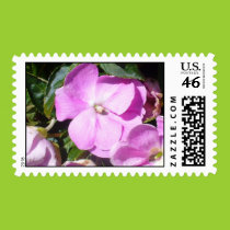 Pink impatiens postage stamps