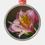 Pink Inca Lily flowers and meaning Christmas Tree Ornaments