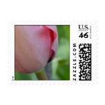 Pink Inspiration Postage