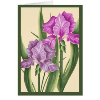 Pink Iris card