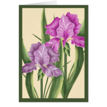 Pink Iris cards
