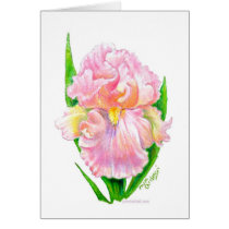 Pink Iris cards