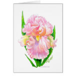 Pink Iris cards