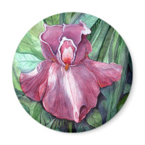 Pink Iris magnets by SherryHolderHunt Pink Iris magnets