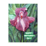 Pink Iris - Mother's Day Postcard Pink Iris - Mother's Day Postcard