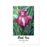 Pink Iris Print - Customized Pink Iris Print - Customized