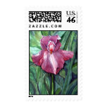 Pink Iris Stamps Pink Iris Stamps