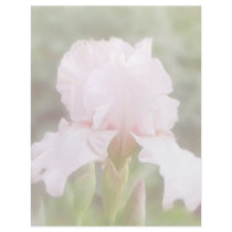 Pink Iris - Vanity Letterhead Template
