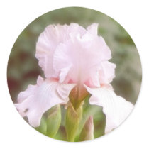 Pink Iris - Vanity Round Sticker