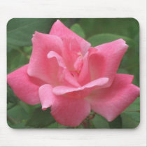 Pink Knock Out Rose mousepads