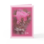 Pink Knockout Rose card- any occasion