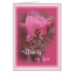 Pink Knockout Rose card- any occasion