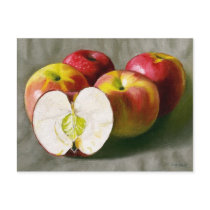 Pink Ladies postcards by artberry Pink Ladies postcards