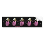 Pink Lady Slipper Flower Photo Bumper Sticker