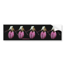 Pink Lady Slipper Flower Photo Bumper Sticker bumper stickers