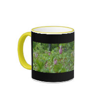 Pink Lady Slippers - Wells Maine - photo by Wendy Coffee Mug