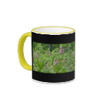 Pink Lady Slippers - Wells Maine - photo by Wendy Coffee Mug