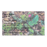 Pink lady's slipper business card