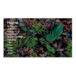 Pink lady's slipper business cards