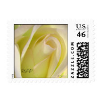 Pink Lemonade Rose Wedding Postage