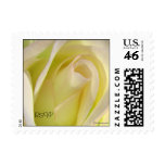 Pink Lemonade Rose Wedding Postage