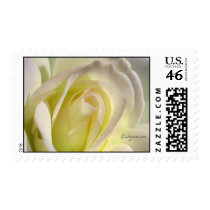 Pink Lemonade Rose Wedding Postage