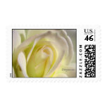 Pink Lemonade Rose Wedding Postage