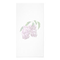Pink Lilac Duo photo cards