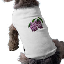 Pink Lilac Duo pet clothing