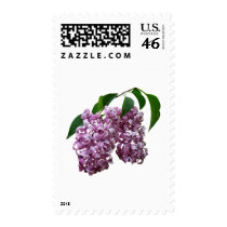 Pink Lilac Duo stamps