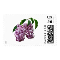 Pink Lilac Duo stamps