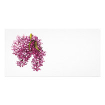 Pink Lilacs photo cards