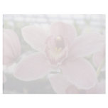 Pink Lilian Stewart 'Nadine' (Cymbidium) flowers Letterhead Template