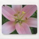pink lilie mousepad