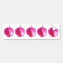 Pink lilies bumper sticker