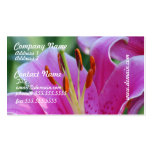 Pink Lilies Business Cards