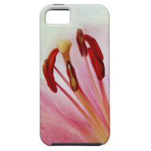 Pink Lilies iPhone 5 Cases