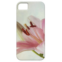 Pink Lilies iPhone 5 Cover