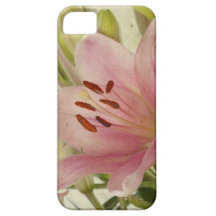 Pink Lilies iPhone 5 Covers
