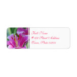 Pink Lilies  Mailing Labels