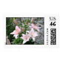 Pink Lilies postage